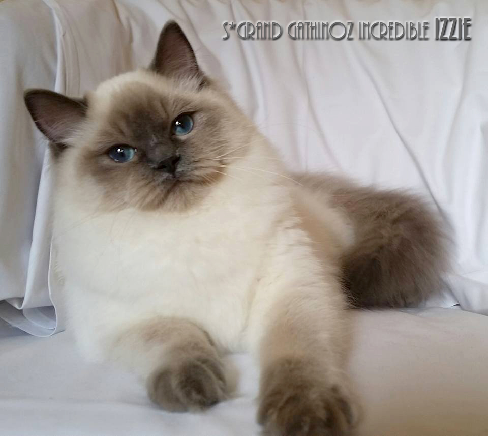 Grand Gathinoz Incredible Izzie