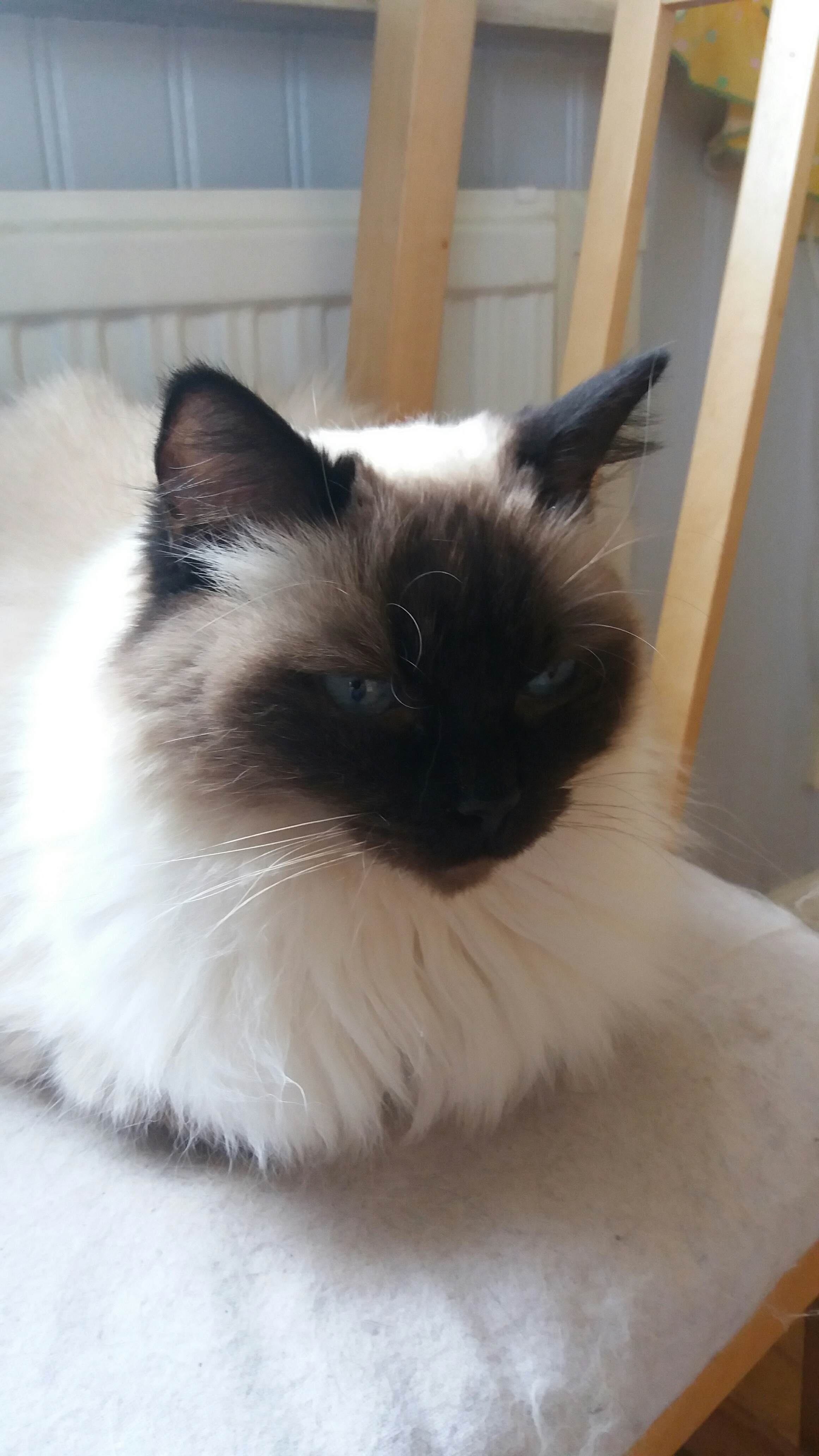 HjalmvidsBeautifulGirl